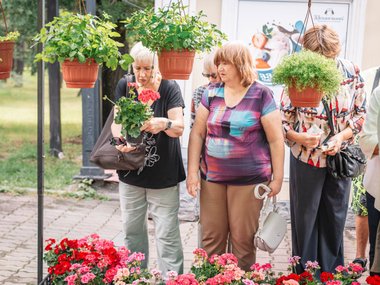 «Вальс цветов» наполнил яркими красками парк Динамо в Хабаровске: фото