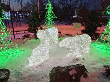 В Хабаровске открыли еще один ледовый городок: фото