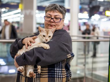 Безумно милые и породистые котята собирают сотни любителей мурлык в Хабаровске: фото